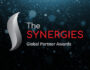 The Synergies Global Partner Awards