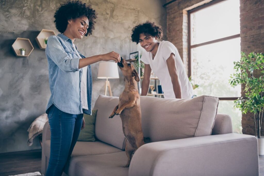 Enhancing The Guest Experience in Serviced Accommodations: The Power of Human Connection