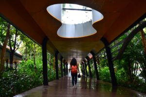 Navigating Sustainable Corporate Travel with Serviced Apartments